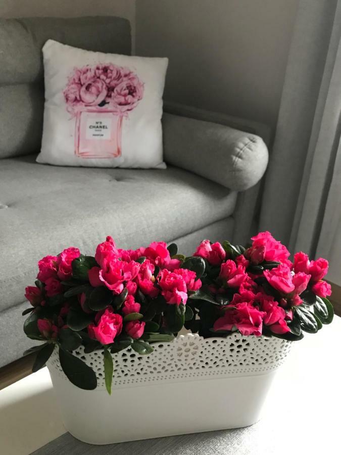 Glamour Apartment Przy Plazy, Z Parkingiem Prywatnym โซพอต ภายนอก รูปภาพ